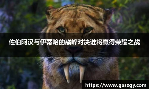 jbo竞博官方网站
